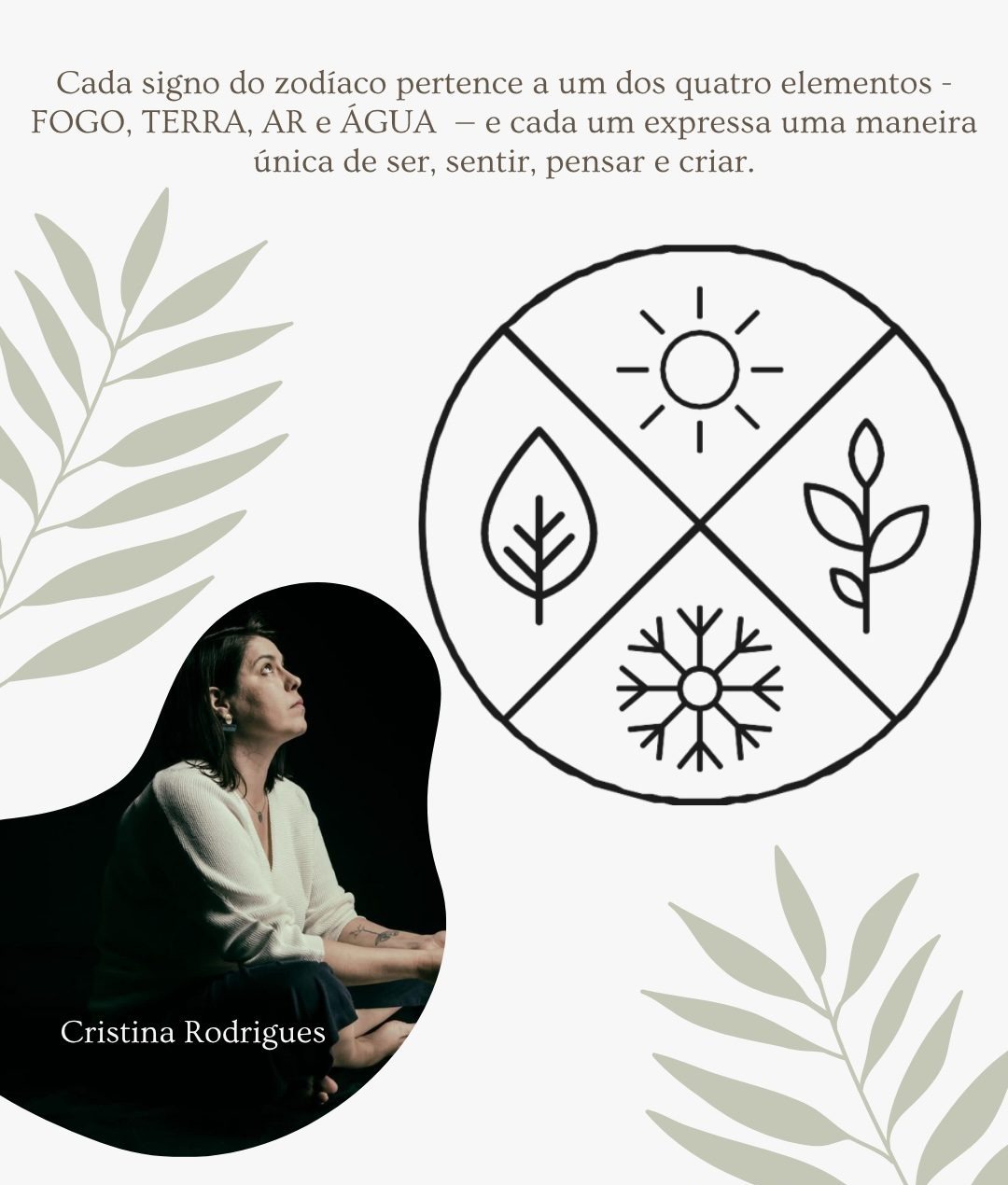 Os quatro elementos do zodíaco